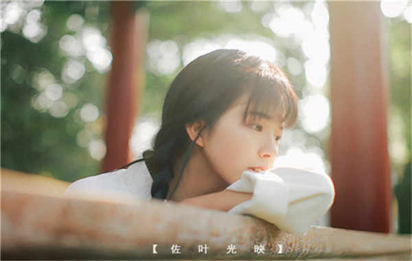 玄武胎儿性别鉴定需要多少钱(胎儿性别鉴定的方法)